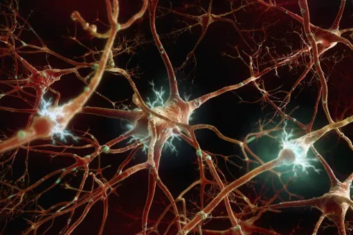 Imagen: La Vanguardia