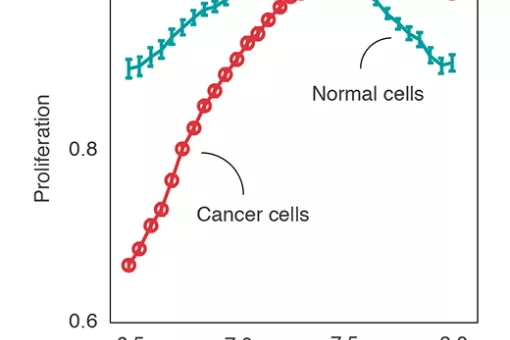 Image: IRB Barcelona