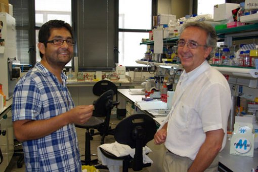 Researchers Juan Pablo Muñoz and Antonio Zorzano (IRB)