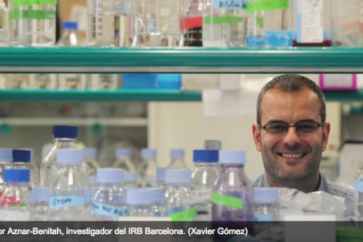 Salvador Aznar Benitah, Group Leader of Stem Cells and Cancer at IRB Barcelona.