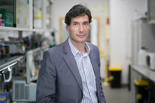 Manuel Serrano, group leader of the Cellular Plasticity and Disease laboratory