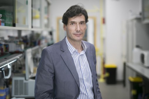 Manuel Serrano, líder del laboratori de Plasticitat Cel·lular i Malaltia a l'IRB Barcelona. 