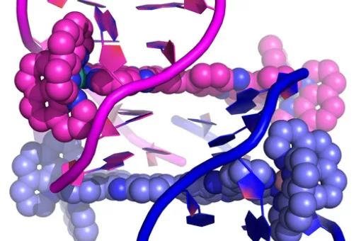 Structure of the new substance bound to DNA (R.Boer, IRB)