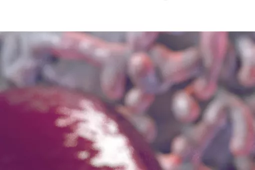 Merus N.V. es una compañía biotec de inmuno-oncología de estadio clínico que desarrolla innovadores anticuerpos terapéuticos biespecíficos.