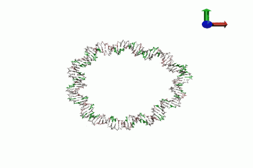 Simulació de mini-plàsmid (ADN circular) (P Dans. IRB Barcelona)