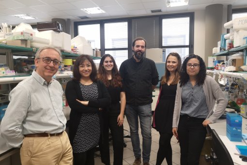 Antonio Zorzano i l'equip del laboratori de Malalties Metabòliques Complexes i Mitocondris que ha participat en aquesta investigació. IRB Barcelona.