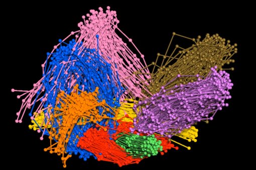 Representació de l'estructura completa de la nanomàquina principal del procés de l'exocitosi. Les vuit proteïnes, un color diferent per a cadascuna, s'uneixen com es representa en la imatge, formant la nanomàquina o complex de proteïnes. (O.Gallego, IRB) 
