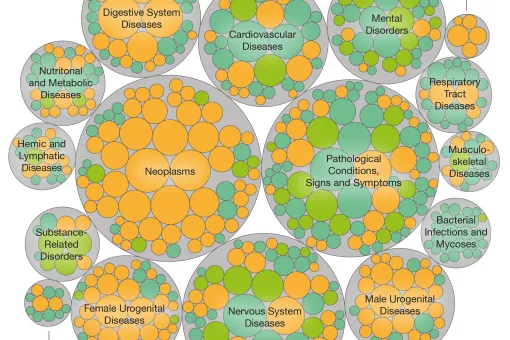 Scheme of the predictive model of chemical substances and their association with human diseases. The orange and green circles show adverse and therapeutic effects respectively. The size of the circles is proportional to the number of molecules that hold t