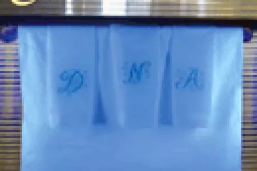 Cover of Nature Genetics