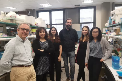Antonio Zorzano y el equipo del laboratorio de Enfermedades Metabólicas Complejas y Mitocondrias que ha participado en esta investigación. IRB Barcelona.