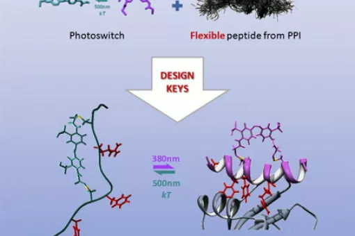 Esquema de la inhibición fotoconmutable de la interacción proteína-proteína (PPI). / Pau Gorostiza et al.