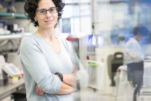 Núria López-Bigas, head of the Biomedical Genomics Lab at IRB Barcelona