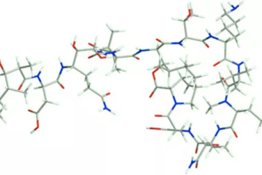 Structure of Pipecolidepsin A, which shows activity against eleven types of cancer (Author: Marta Pelay)