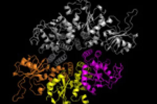 The crystal structure of the DNA replication initiator RepB unveils a ring helicase-like architecture.