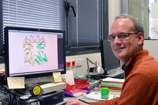 Arabidopsis thaliana is model with which to study the molecular biology of many plant traits (Wikimedia Commons))