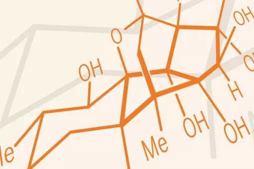 Representado arriba, el (+)-ryanodol es un derivado de un compuesto natural con capacidad reguladora sobre el calcio intracelular