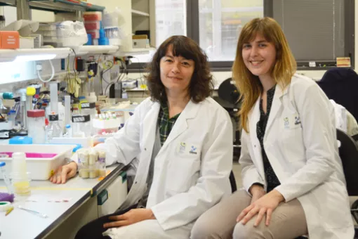 Scientists Sofia Araújo (left) and Elisenda Butí presented the results in Plos One (Photo: O. Martorell, IRB)