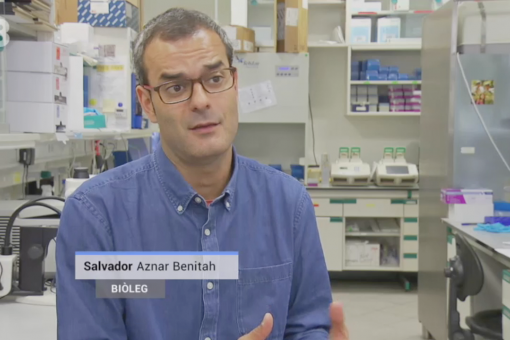 Salvador Aznar Benitah, cap del laboratori de Cèl·lules Mare i Càncer de l'IRB Barcelona