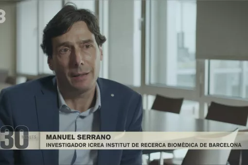 Manuel Serrano, jefe del laboratorio de Plasticidad Celular y Enfermedad del IRB Barcelona