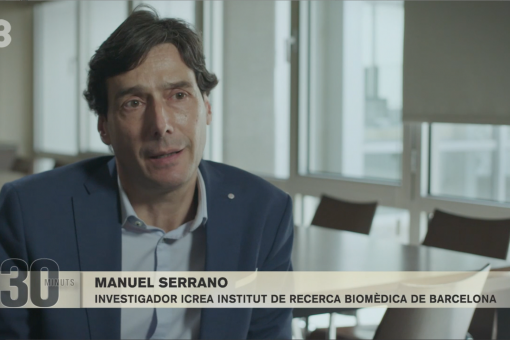 Manuel Serrano, cap del laboratori de Plasticitat Cel·lular i Malaltia de l'IRB Barcelona