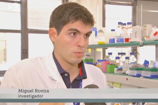 Miguel Rovira, researcher at IRB Barcelona