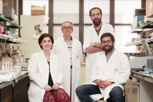 Montserrat Romero, Antonio Zorzano, David Sebastián y Juan Pablo Muñoz del laboratorio de Enfermedades Metabólicas Complejas y Mitocondrias del IRB Barcelona. Fuente: Fundación BBVA