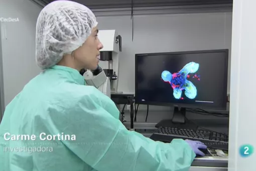 Carme Cortina, investigadora del IRB Barcelona.