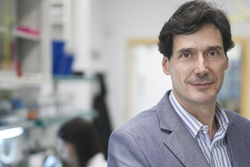 Manuel Serrano lidera el laboratorio de Plasticidad Celular y Enfermedad