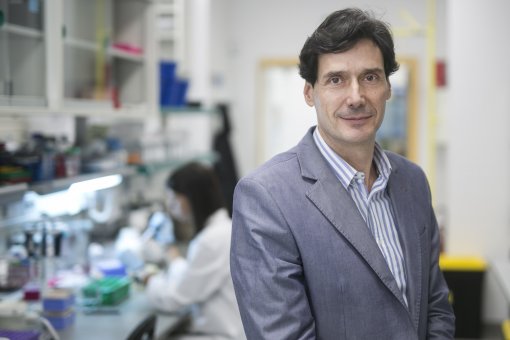 Manuel Serrano, head of the Cell Plasticity and Disease Laboratory at IRB Barcelona