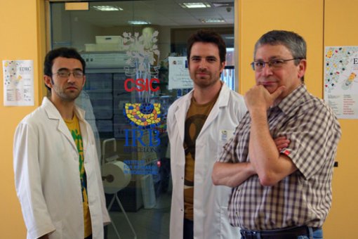 (from left to righ) Researchers Salvador Pérez-Montero, Albert Carbonell and group leader Ferran Azorín