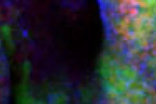 Cover of the booklet