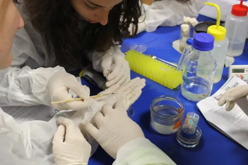 This is the eigth edition of scientific workshops Do Research!