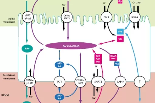 Imagen: Universidad de Barcelona