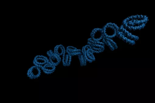 En la imagen, simulación de una fibra de cromatina (Consorcio MuG)