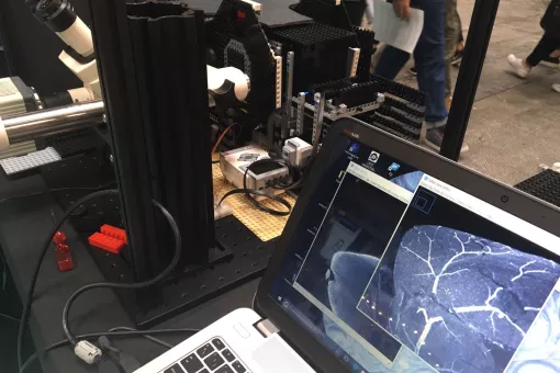 LegoLish-Mot, YoMo Barcelona. 