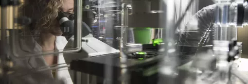 A mature innovation ecosystem