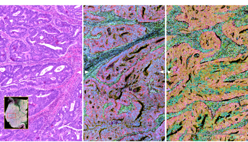 From infrastructure to integrative biology