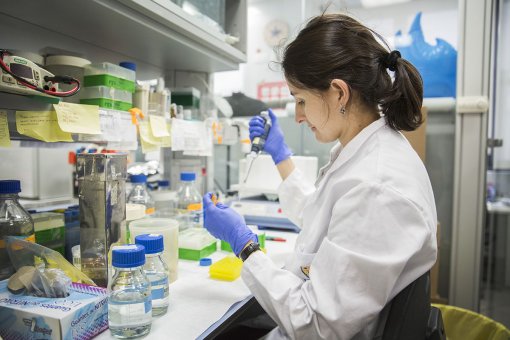 Training the next generation