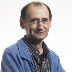Jordi Casanova, head of the Development and Morphogenesis in Drosophila Lab at IRB Barcelona