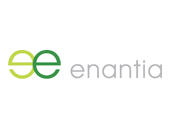 enantic logo