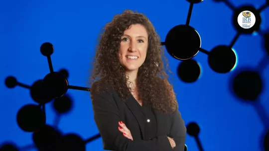 Bridges to Industry - Helena Roura