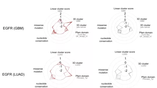 Contribution of mutational features to the classification of all EGFR driver and passenger mutations in lung adenocarcinomas and glioblastomas.