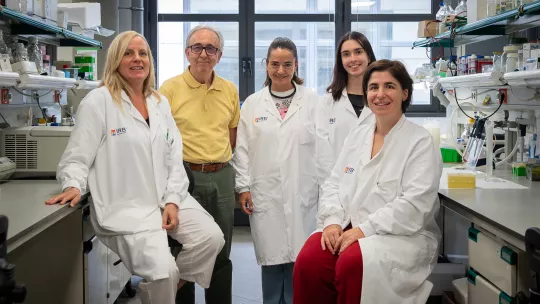 IRBBarcelona_Zorzano&Sanchez-Feutrie_team