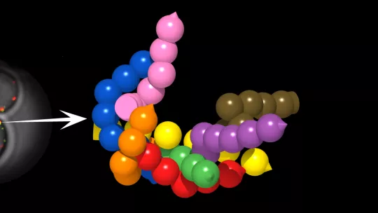 A la izquierda, visualización en vivo de nanomáquinas con técnicas actuales de microscopia; a la derecha, el nuevo método permite ver en 3D las nanomáquinas en vivo 25 veces mejor (O. Gallego, IRB Barcelona)
