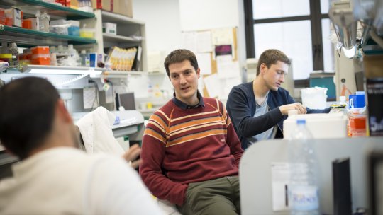 ICREA researcher Roger Gomis heads the Growth Control and Cancer Metastasis Lab at IRB Barcelona (Battista, IRB Barcelona)