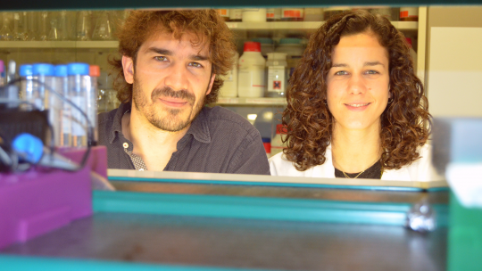 El científic Oriol Gallego, líder de l'estudi, i l'estudiant de doctorat Irene Pazos al seu laboratori de l'IRB Barcelona