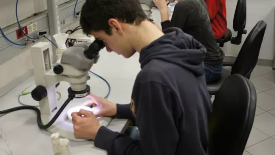 Estudiantes durante una sessión práctica en los laboratorios del IRB Barcelona.