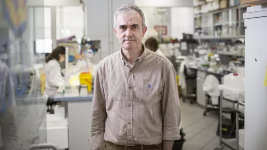 Angel R. Nebreda, jefe del Laboratorio de Señalización Celular del IRB Barcelona