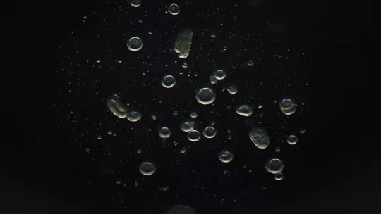 Organoides tumorales (mini-tumores de colon) derivados de pacientes y crecidos en placas in vitro, una técnica desarrollada por el IRB Barcelona (Imagen: Alexandre Calon, IRB Barcelona)