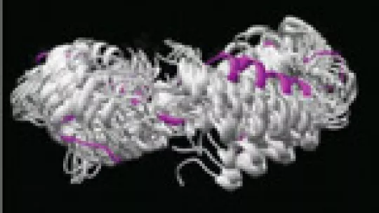 Protein structure obtained with COCO. Image: Laughton et al.